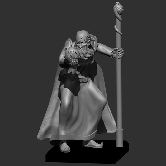 Fantasy Human Wizard 1
